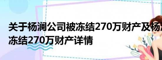 关于杨澜公司被冻结270万财产及杨澜公司被冻结270万财产详情