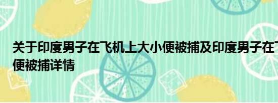 关于印度男子在飞机上大小便被捕及印度男子在飞机上大小便被捕详情