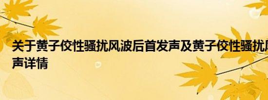 关于黄子佼性骚扰风波后首发声及黄子佼性骚扰风波后首发声详情