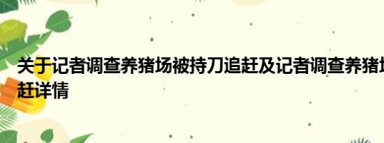 关于记者调查养猪场被持刀追赶及记者调查养猪场被持刀追赶详情