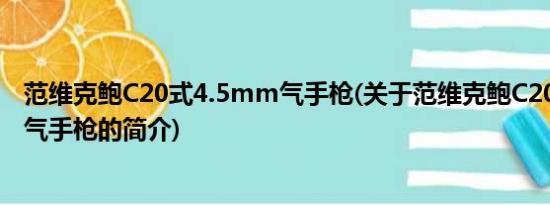 范维克鲍C20式4.5mm气手枪(关于范维克鲍C20式4.5mm气手枪的简介)