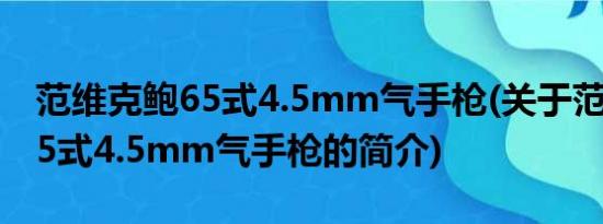 范维克鲍65式4.5mm气手枪(关于范维克鲍65式4.5mm气手枪的简介)