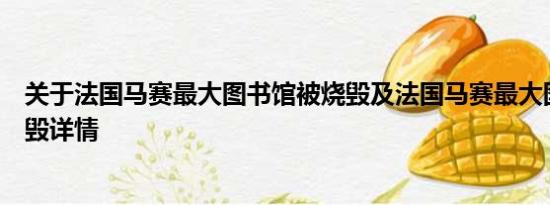 关于法国马赛最大图书馆被烧毁及法国马赛最大图书馆被烧毁详情