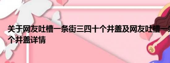 关于网友吐槽一条街三四十个井盖及网友吐槽一条街三四十个井盖详情