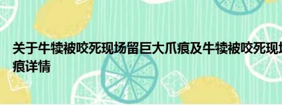 关于牛犊被咬死现场留巨大爪痕及牛犊被咬死现场留巨大爪痕详情