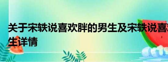 关于宋轶说喜欢胖的男生及宋轶说喜欢胖的男生详情