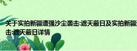 关于实拍新疆遭强沙尘袭击:遮天蔽日及实拍新疆遭强沙尘袭击:遮天蔽日详情