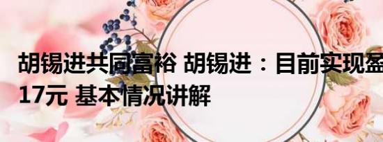 胡锡进共同富裕 胡锡进：目前实现盈利2829.17元 基本情况讲解