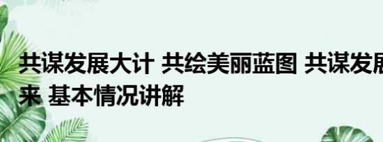 共谋发展大计 共绘美丽蓝图 共谋发展 共享未来 基本情况讲解