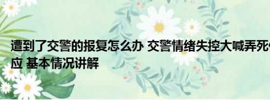 遭到了交警的报复怎么办 交警情绪失控大喊弄死你？警方回应 基本情况讲解