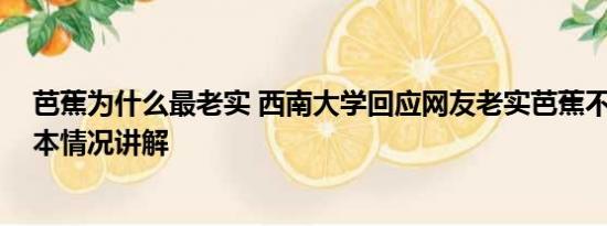 芭蕉为什么最老实 西南大学回应网友老实芭蕉不当言论 基本情况讲解