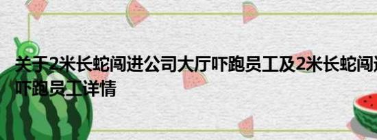 关于2米长蛇闯进公司大厅吓跑员工及2米长蛇闯进公司大厅吓跑员工详情