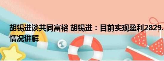 胡锡进谈共同富裕 胡锡进：目前实现盈利2829.17元 基本情况讲解