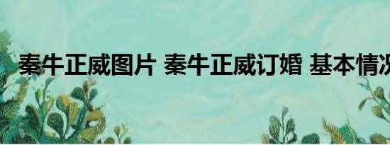 秦牛正威图片 秦牛正威订婚 基本情况讲解