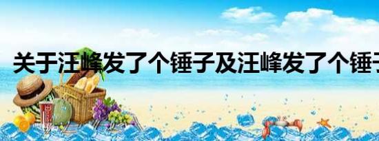 关于汪峰发了个锤子及汪峰发了个锤子详情