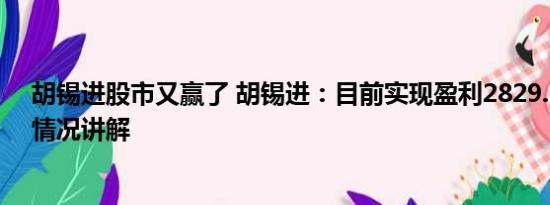 胡锡进股市又赢了 胡锡进：目前实现盈利2829.17元 基本情况讲解