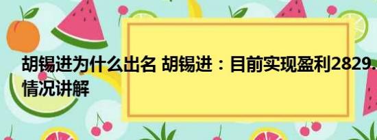 胡锡进为什么出名 胡锡进：目前实现盈利2829.17元 基本情况讲解