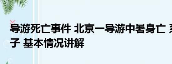 导游死亡事件 北京一导游中暑身亡 系家中独子 基本情况讲解