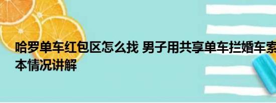 哈罗单车红包区怎么找 男子用共享单车拦婚车索要红包 基本情况讲解