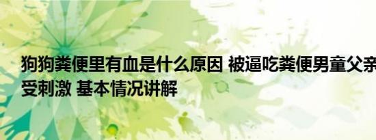 狗狗粪便里有血是什么原因 被逼吃粪便男童父亲:孩子精神受刺激 基本情况讲解