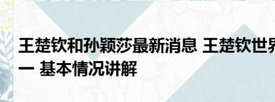 王楚钦和孙颖莎最新消息 王楚钦世界排名第一 基本情况讲解