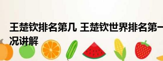 王楚钦排名第几 王楚钦世界排名第一 基本情况讲解