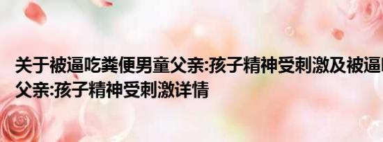 关于被逼吃粪便男童父亲:孩子精神受刺激及被逼吃粪便男童父亲:孩子精神受刺激详情