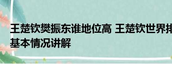 王楚钦樊振东谁地位高 王楚钦世界排名第一 基本情况讲解