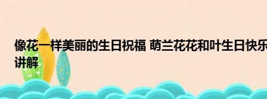 像花一样美丽的生日祝福 萌兰花花和叶生日快乐 基本情况讲解