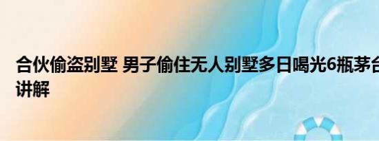 合伙偷盗别墅 男子偷住无人别墅多日喝光6瓶茅台 基本情况讲解