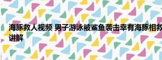 海豚救人视频 男子游泳被鲨鱼袭击幸有海豚相救 基本情况讲解