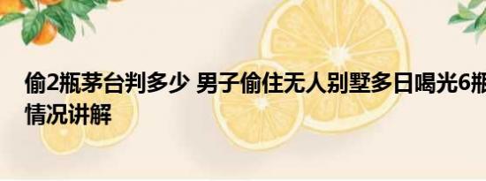 偷2瓶茅台判多少 男子偷住无人别墅多日喝光6瓶茅台 基本情况讲解