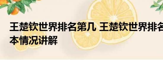 王楚钦世界排名第几 王楚钦世界排名第一 基本情况讲解