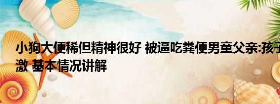 小狗大便稀但精神很好 被逼吃粪便男童父亲:孩子精神受刺激 基本情况讲解