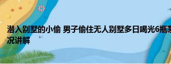 潜入别墅的小偷 男子偷住无人别墅多日喝光6瓶茅台 基本情况讲解