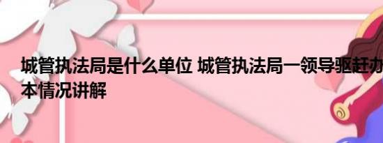 城管执法局是什么单位 城管执法局一领导驱赶办事群众 基本情况讲解