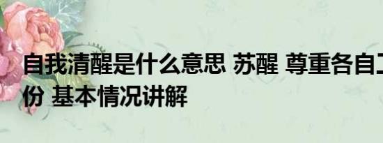 自我清醒是什么意思 苏醒 尊重各自工作和身份 基本情况讲解