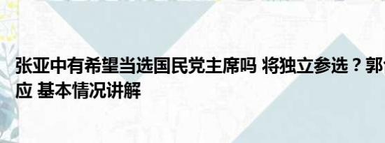 张亚中有希望当选国民党主席吗 将独立参选？郭台铭发文回应 基本情况讲解