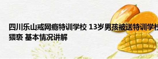 四川乐山戒网瘾特训学校 13岁男孩被送特训学校戒网瘾遭猥亵 基本情况讲解