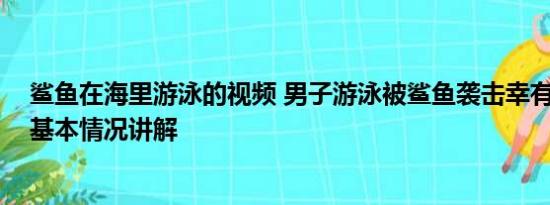 鲨鱼在海里游泳的视频 男子游泳被鲨鱼袭击幸有海豚相救 基本情况讲解