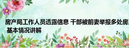 房产局工作人员透露信息 干部被前妻举报多处房产来源不明 基本情况讲解