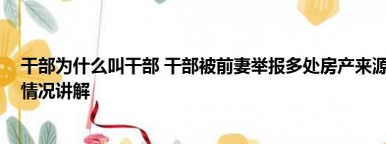 干部为什么叫干部 干部被前妻举报多处房产来源不明 基本情况讲解