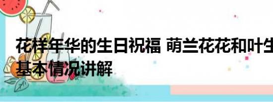 花样年华的生日祝福 萌兰花花和叶生日快乐 基本情况讲解