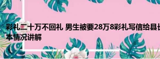 彩礼二十万不回礼 男生被要28万8彩礼写信给县长求整治 基本情况讲解