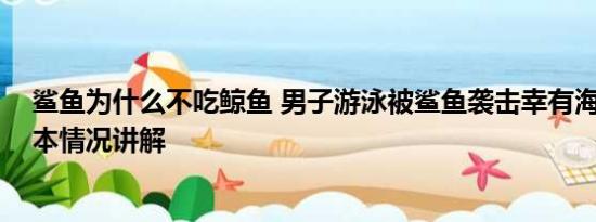 鲨鱼为什么不吃鲸鱼 男子游泳被鲨鱼袭击幸有海豚相救 基本情况讲解