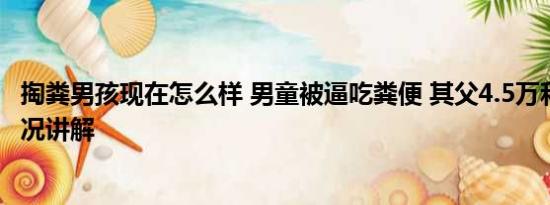 掏粪男孩现在怎么样 男童被逼吃粪便 其父4.5万和解 基本情况讲解