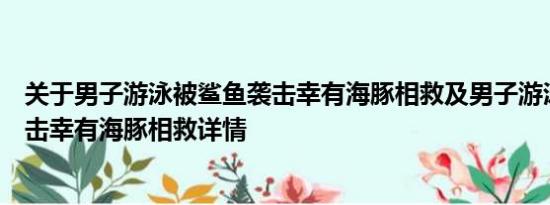 关于男子游泳被鲨鱼袭击幸有海豚相救及男子游泳被鲨鱼袭击幸有海豚相救详情