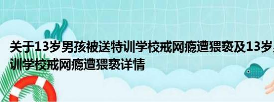 关于13岁男孩被送特训学校戒网瘾遭猥亵及13岁男孩被送特训学校戒网瘾遭猥亵详情