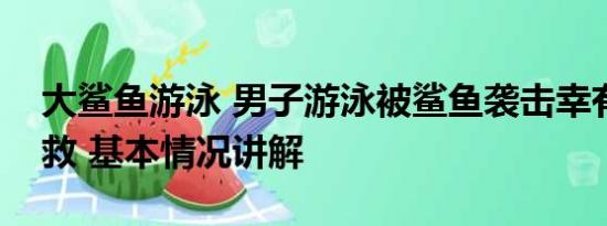 大鲨鱼游泳 男子游泳被鲨鱼袭击幸有海豚相救 基本情况讲解