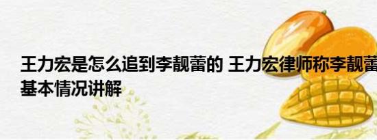 王力宏是怎么追到李靓蕾的 王力宏律师称李靓蕾颠倒事实 基本情况讲解